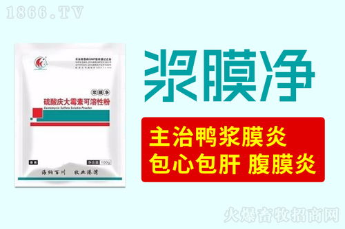 鴨漿膜炎之痛與治愈之道——以科學防治化解養殖難題